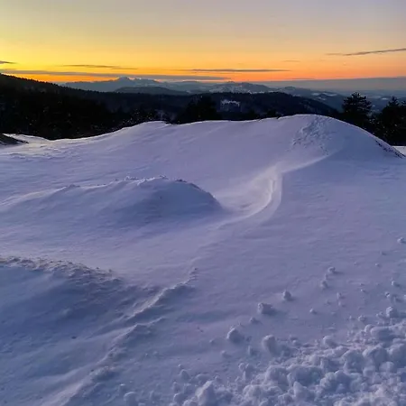 Viline Kose * Divcibare