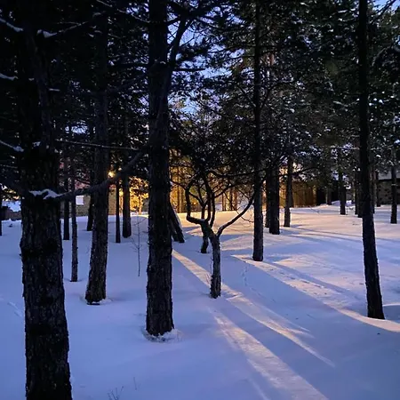 Viline Kose Apartment Divcibare