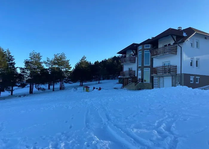 Viline Kose アパート Divčibare