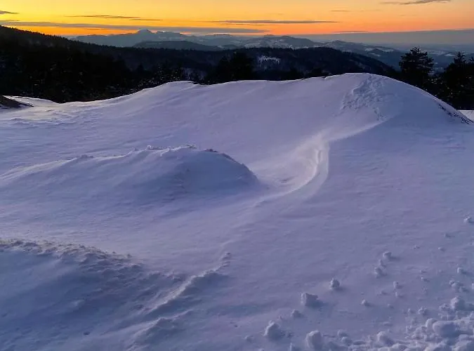 Viline Kose * Divčibare