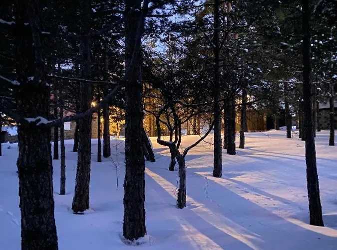 Viline Kose アパート Divčibare